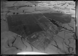 Montana Wines Ltd, location unidentified