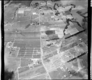 Reynolds Berry Farm, Papakura, Auckland