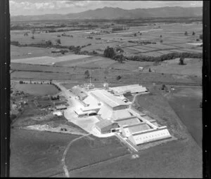 Morrinsville, unidentified building