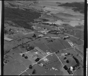 Manaia, Coromandel Peninsula