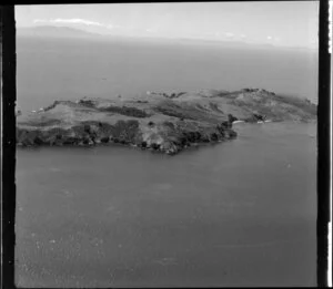 Tiritiri Matangi Island, Hauraki Gulf