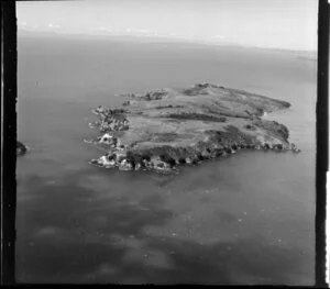 Tiritiri Matangi Island, Hauraki Gulf