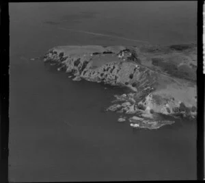 Tiritiri Matangi Island, Hauraki Gulf