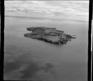 Tiritiri Matangi Island, Hauraki Gulf