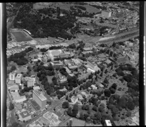 Central Auckland showing University of Auckland and Albert Park