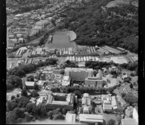 University of Auckland, Auckland