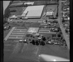 PTO Growers site, horticultural land, with glasshouses, Favona, Mangere, Auckland