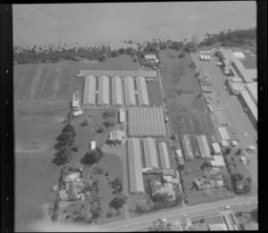 PTO Growers site, horticultural land, with glasshouses, Favona, Mangere, Auckland