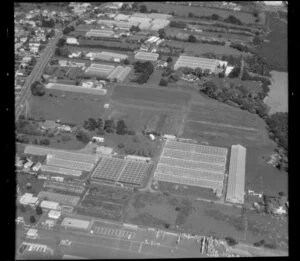 PTO Growers site, horticultural land, with glasshouses, Favona, Mangere, Auckland