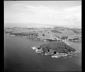 Goat Island, Leigh, Rodney District