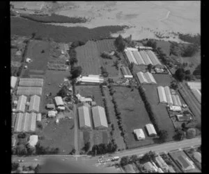 Bartons horticultural land, with glasshouses, Favona, Mangere, Auckland