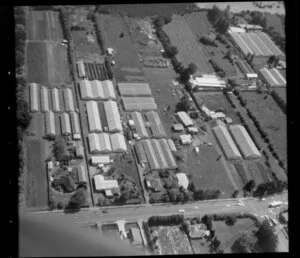 Wong and Guthrie horticultural land, with glasshouses, Favona, Mangere, Auckland
