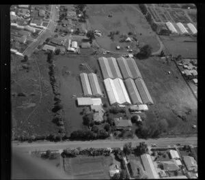 Emery, horticultural land in Favona, Mangere, Auckland