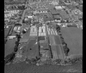 Knight, Pettit and Denning horticultural land in Favona, Mangere, Auckland