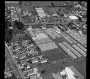 Wong and Guthrie, horticultural land in Favona, Mangere, Auckland
