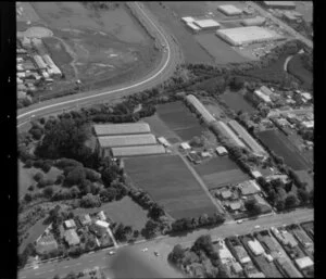 Horticultural land in Favona, Mangere, Auckland