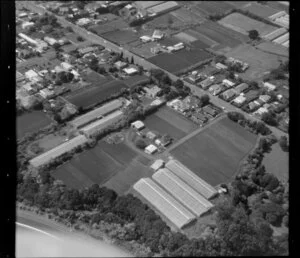 Horticultural land in Favona, Mangere, Auckland