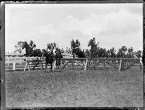 Avondale Racecourse, Auckland, summer hurdle race in progress