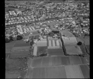 Horticultural land in Favona, Mangere, Auckland