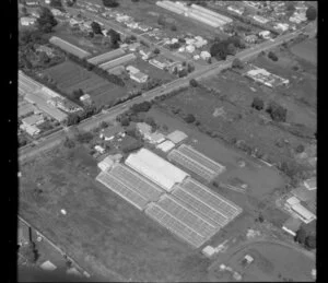 Emery, horticultural land in Favona, Mangere, Auckland