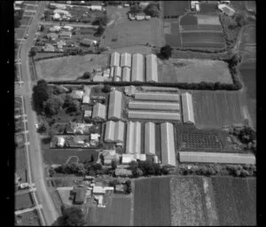 Horticultural land in Favona, Mangere, Auckland