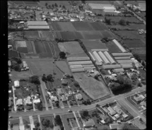 Horticultural land in Favona, Mangere, Auckland