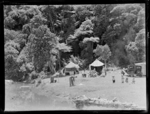 Camping near the bush, Mercury Bay, Northland