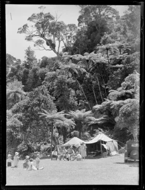 Camping near the bush, Mercury Bay, Northland