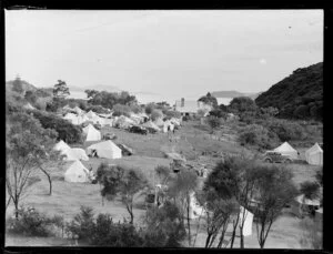 Camping at Paihia