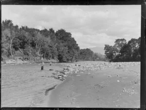 Trout fishing