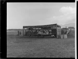 Gould's Gipsy Moth aeroplane at Paraparaumu Airport