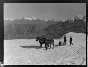 Horse hauling sledge through the snow with unidentified man and boy, Coronet Peak, Queenstown
