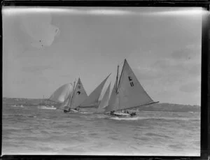 Yacht racing on the Auckland Harbour
