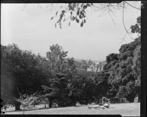 View towards Auckland from Albert Park