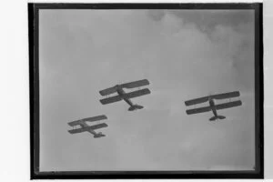 DH Tiger Moths in formation at the Waikato Air Pageant