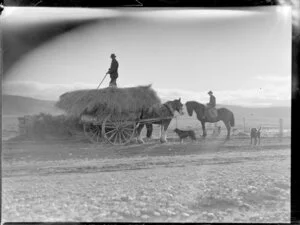 Loading a horse-drawn hay cart, Southland