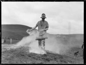Farm worker, sewing seed, King Country