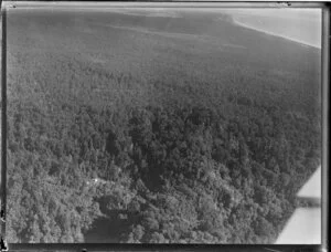 Camp North Haast, South Westland