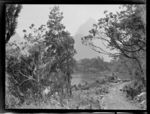 Wanganella trip to Milford Sound