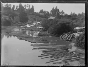 Logs in the river, [Northland?]