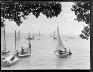 Small yachts, Auckland