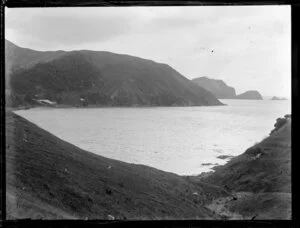 Distant view of whaling station, Whangamumu, Northland