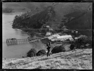 View from top of hill a man looking through binoculars and the whaling station, Whangamumu, Northland