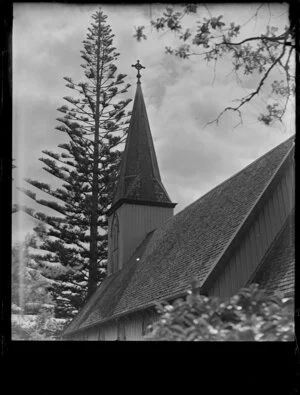St John's Church steeple and Norfolk Island Pine, Waimate