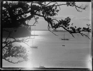 Sunset viewed through pohutukawa branches, Kawau Bay