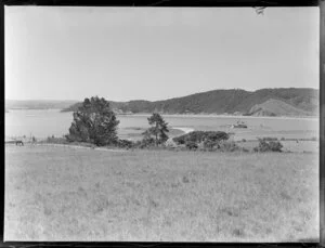 Waitangi grounds looking towards Paihia