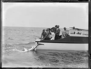 A group of men on a small fishing boat, with a shark being hauled on a rope