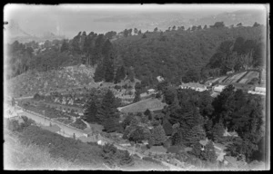 Botanic Gardens, Wellington