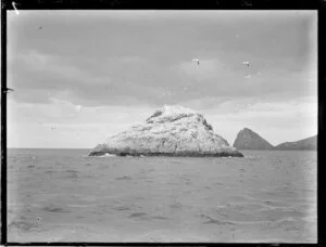 Bird Rock, Bay of Islands