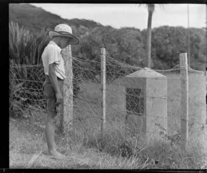 A boy looking at a memorial stone for the mission ship 'Herald', Paihia